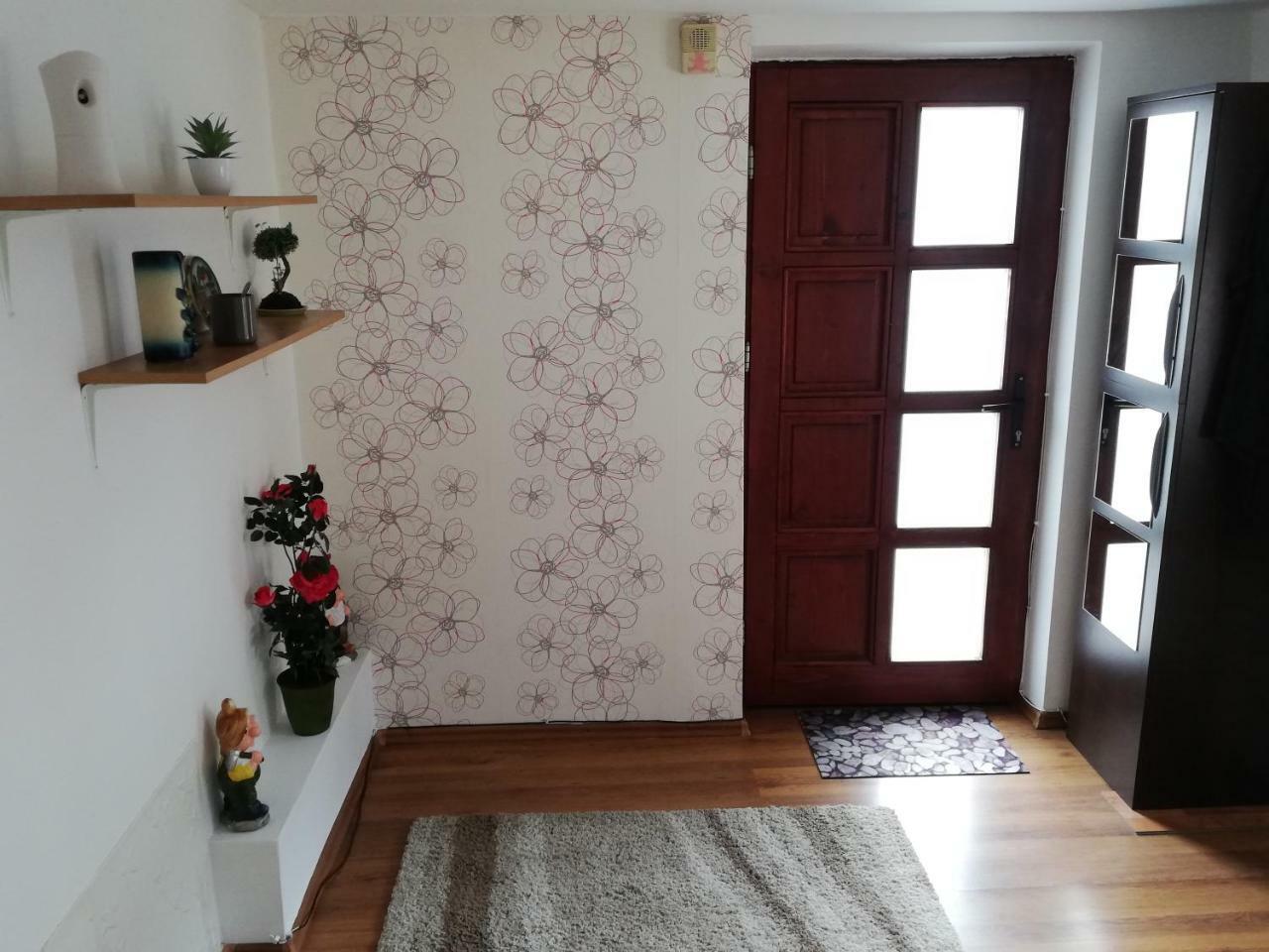 Arina'S Apartments Braşov Eksteriør billede